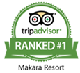 Trip-advisor-logo1