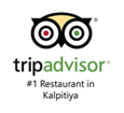 Trip-advisor-logo2